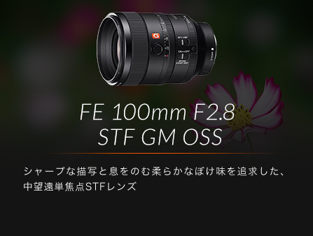 FE 100mm F2.8 STF GM OSS シャープな描写と息をのむ柔らかなぼけ味を追求した、中望遠単焦点STFレンズ