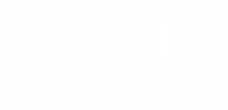 ILCE-7SM3