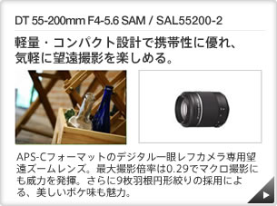 DT 55-200mm F4-5.6 SAM / SAL55200-2 ｜ 軽量・コンパクト設計で携帯性に優れ、気軽に望遠撮影を楽しめる。 ｜ APS-Cフォーマットのデジタル一眼レフカメラ専用望遠ズームレンズ。最大撮影倍率は0.29でマクロ撮影にも威力を発揮。さらに9枚羽根円形絞りの採用による、美しいボケ味も魅力。