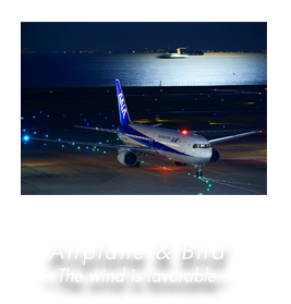Airplane & Bird 〜 The wind is favorable 〜