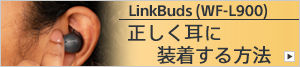 LinkBuds (WF-L900) ɑ@