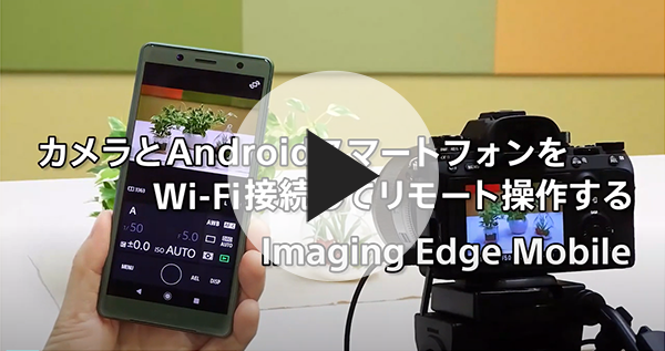 カメラとAndroidスマートフォンをWi-Fi接続してリモート操作する：Imaging Edge Mobile