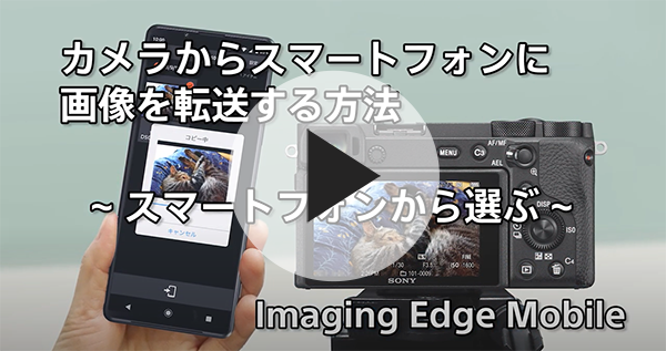 カメラからスマートフォンに画像を転送する　スマートフォンから選ぶ：Imaging Edge Mobile