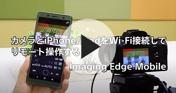 カメラとiPhone/iPadをWi-Fi接続してリモート操作する：Imaging Edge Mobile