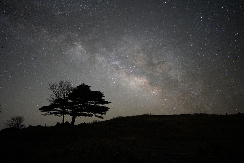 広角レンズ「SEL24F14GM」を使用して撮影した夜景の写真