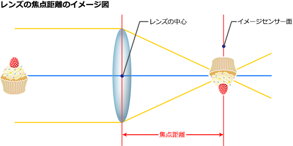 レンズの焦点距離のイメージ図